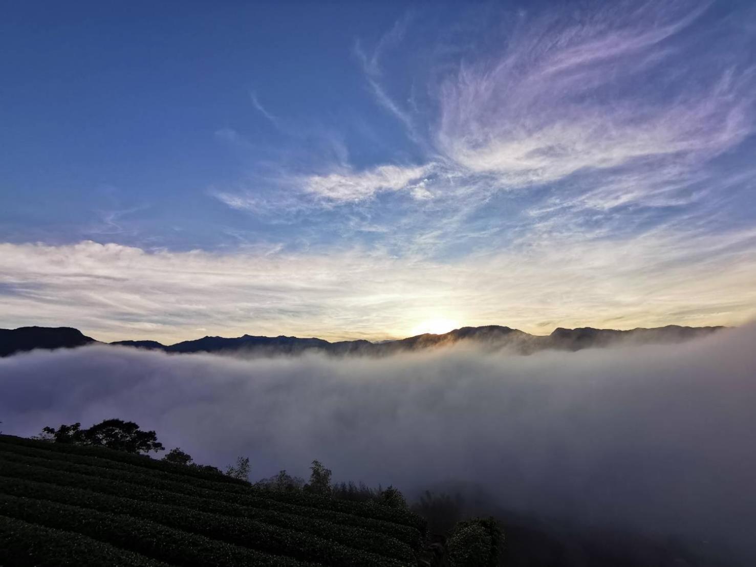 Alishan Tea Garden B&B Fencsihu Kültér fotó