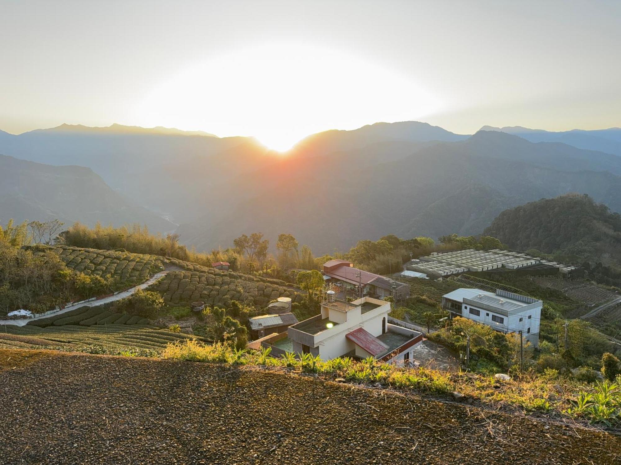 Alishan Tea Garden B&B Fencsihu Kültér fotó