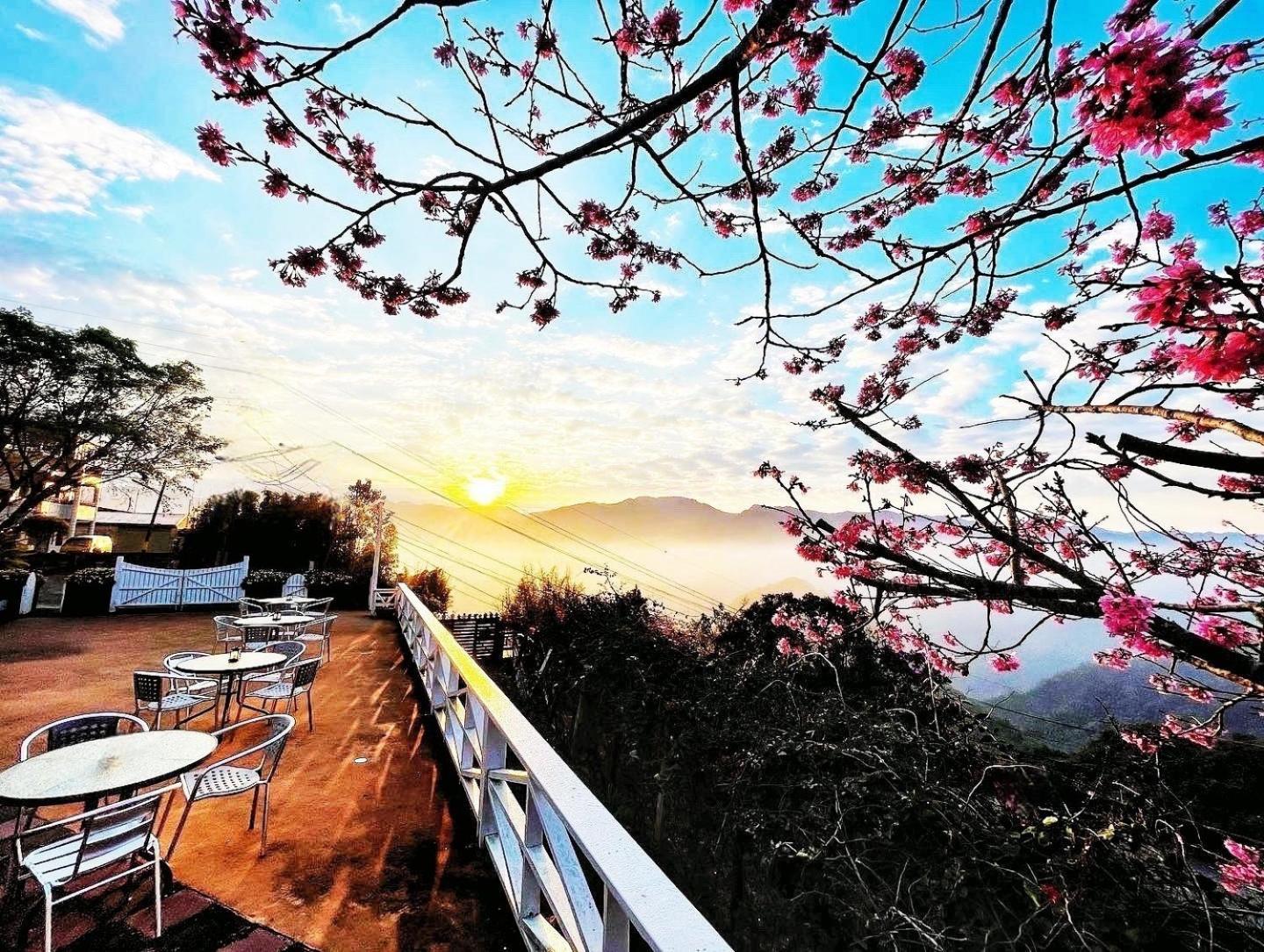 Alishan Tea Garden B&B Fencsihu Kültér fotó